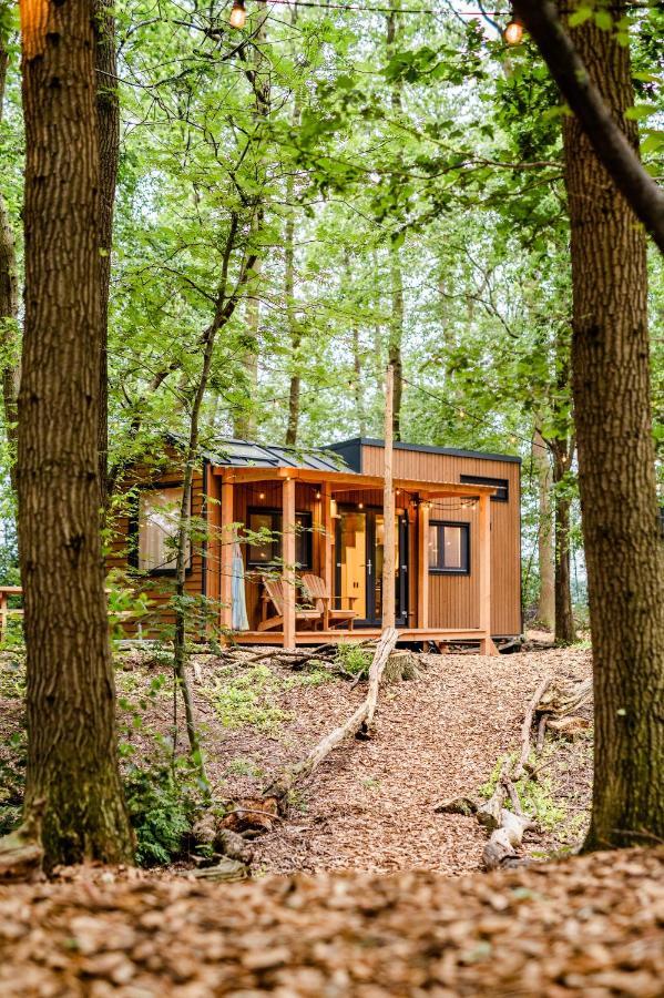Tinyparks Forest Cabins Hoogersmilde Eksteriør billede