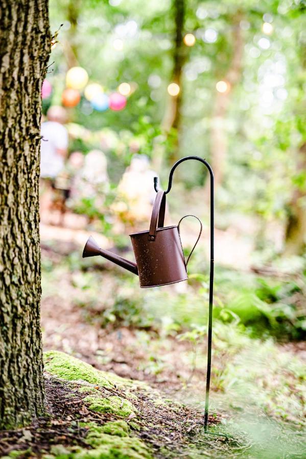 Tinyparks Forest Cabins Hoogersmilde Eksteriør billede