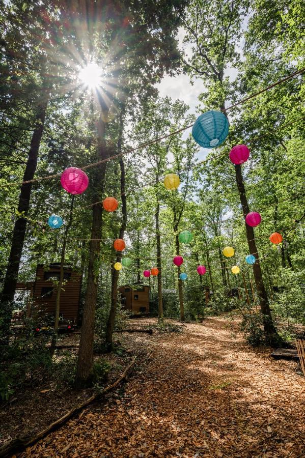 Tinyparks Forest Cabins Hoogersmilde Eksteriør billede